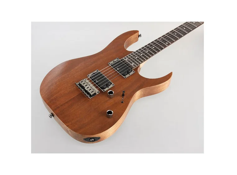 Ibanez RG421 MOL elgitar 